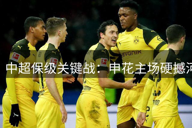 中超保级关键战：申花主场硬撼河南 王上源解禁归来暗藏杀机