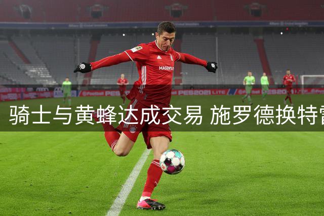 骑士与黄蜂达成交易 施罗德换特雷-曼